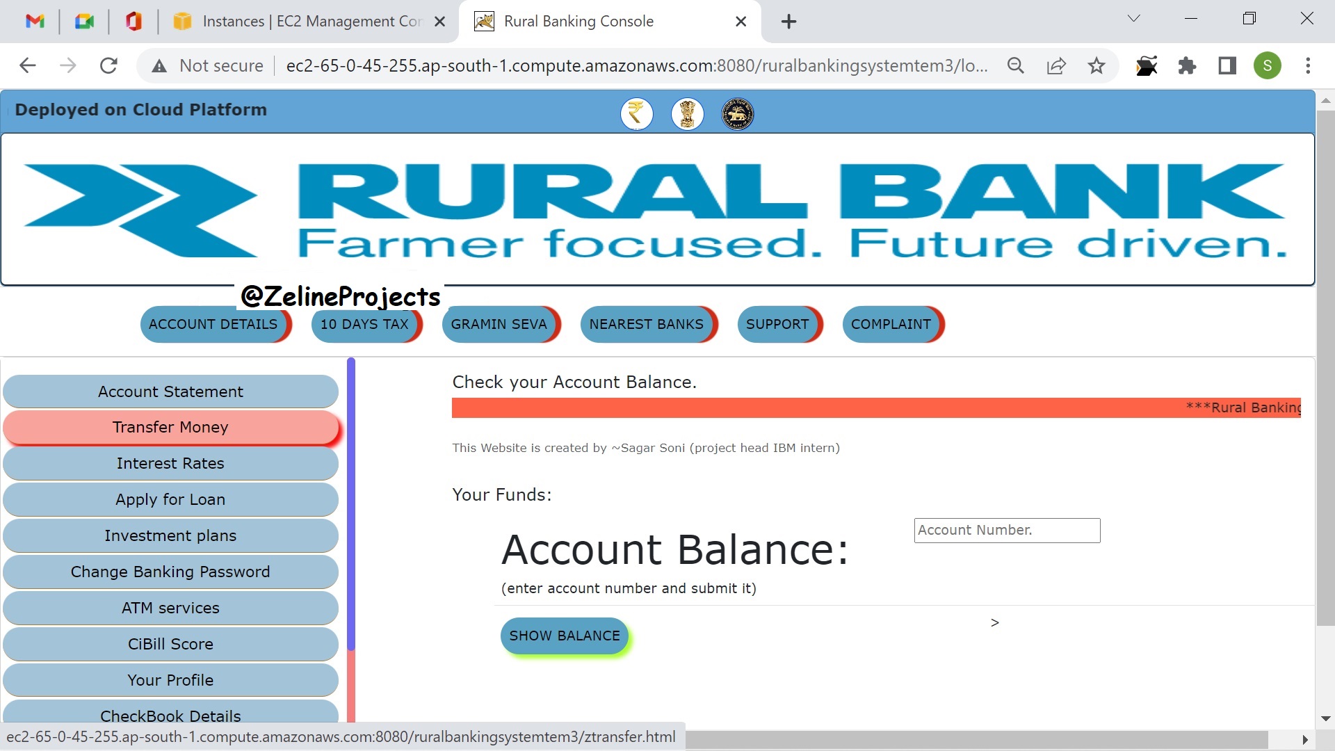 Rural Banking System